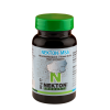 Nekton MSA 80gr