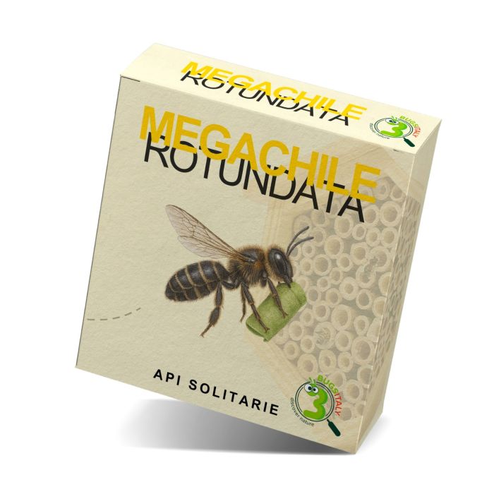 Api Solitarie