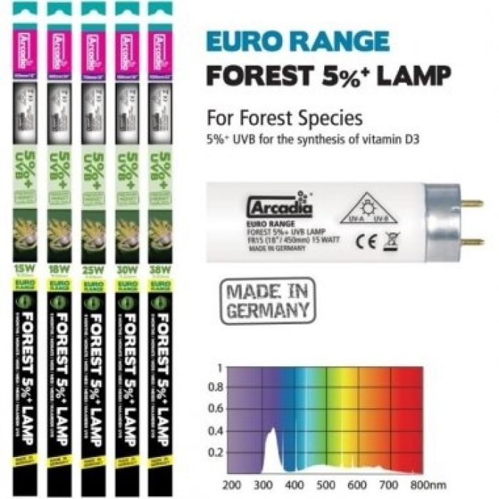 Arcadia Neon Euro Range Forest 5.0% T8